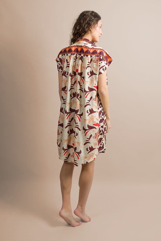 CA2541 215 PAHIESA