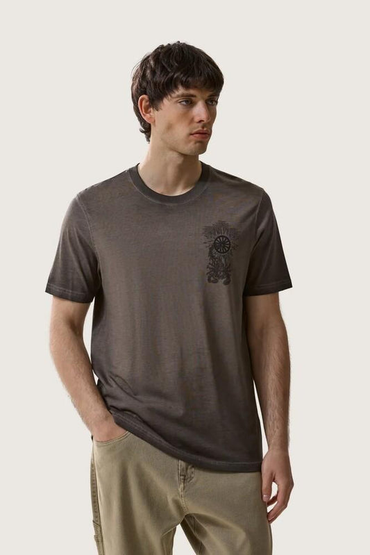 MTE5137 89ESPRESSO SCORPION BAY