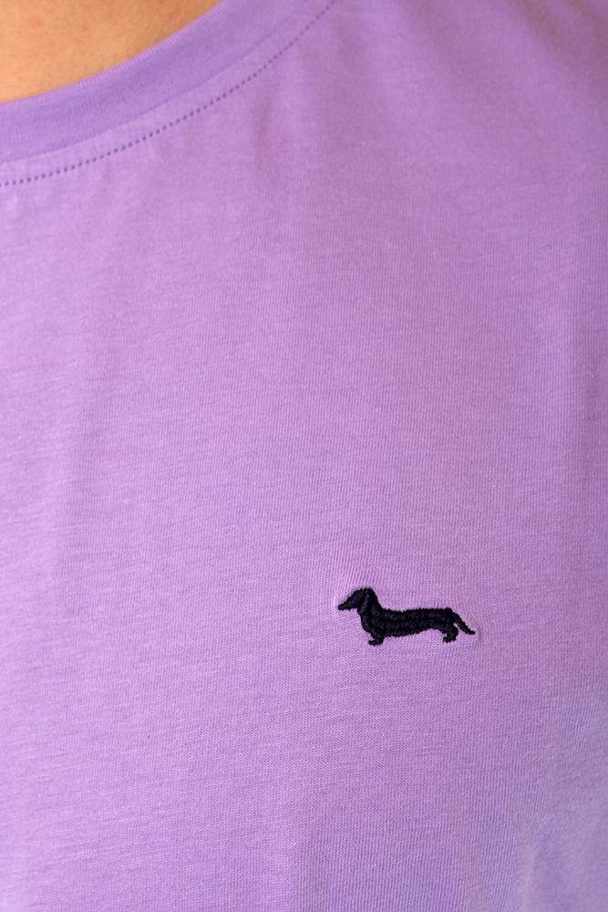 MAGLIA Uomo HARMONT&BLAINE T-SHIRT Lilla