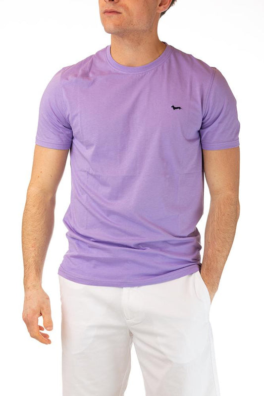 MAGLIA Uomo HARMONT&BLAINE T-SHIRT Lilla