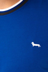 MAGLIA T-SHIRT UOMO  BLU