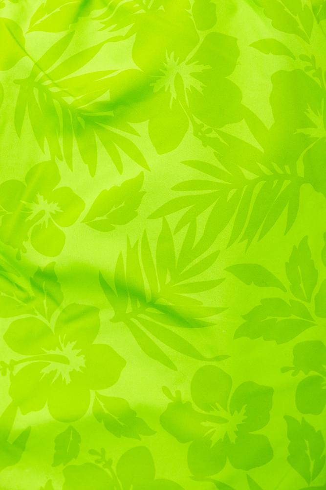 BOXER Uomo BEAR SURFBOARDS con elastico  CORTO Verde