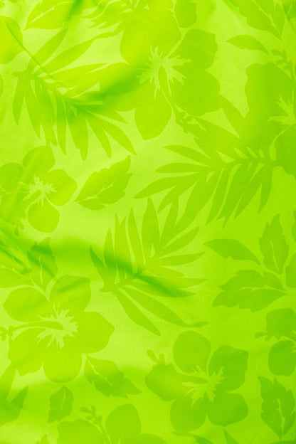 BOXER Uomo BEAR SURFBOARDS con elastico  CORTO Verde