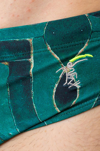 SLIP UOMO  AZZURRO MSPD MAJORELLETOURQUAISE TOOCO 