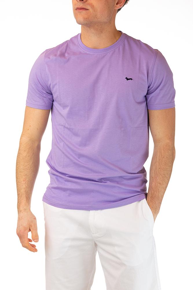MAGLIA UOMO  LILLA