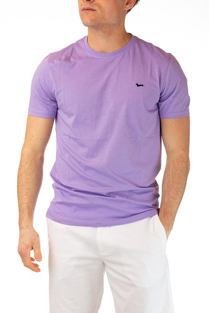 MAGLIA Uomo HARMONT&BLAINE T-SHIRT   Lilla